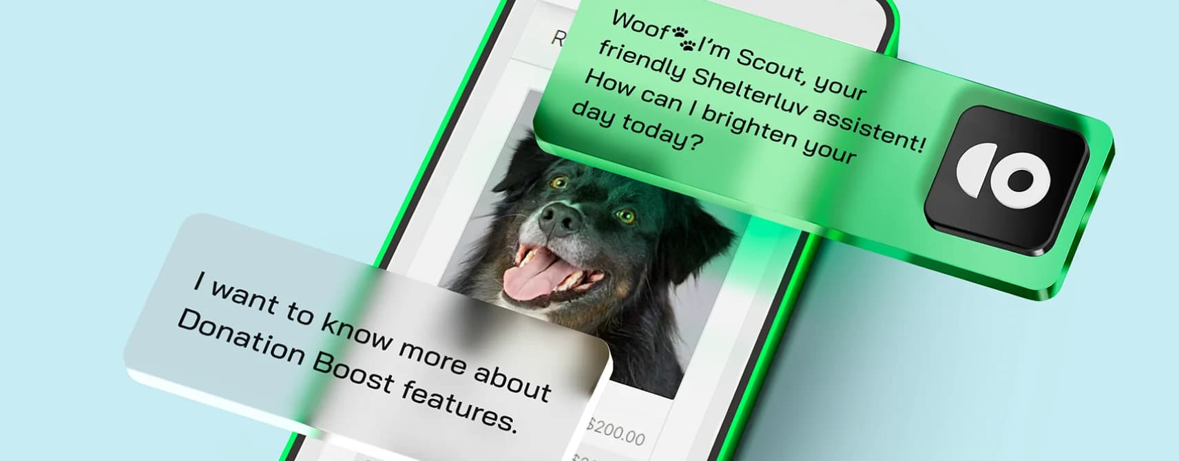 The Client Profile