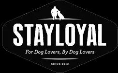 logo-img-/img/main-page/icons-swiper/stayloyal.webp